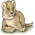 Lioness 6