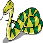 Snake 33