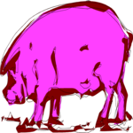 Pig 08