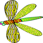 Dragonfly 11