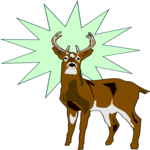 Deer 34