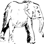 Elephant 1