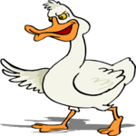 Duck 31