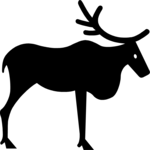 Elk