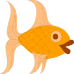 Fish 054