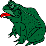 Frog 14