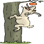 Goat Climbing Tree