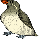 Penguin 14