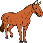 Horse 32