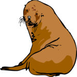 Sea Lion 2