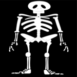 Skeleton 05
