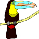 Toucan 01