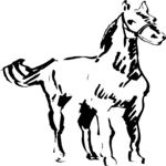 Horse 1