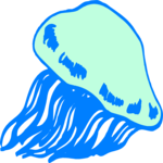 Jellyfish 06