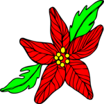 Poinsettia 07