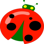 Ladybug 10