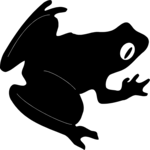 Frog 03