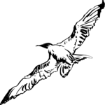 Bird Flying 17