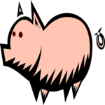 Pig 15