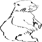 Beaver