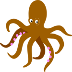 Octopus 05