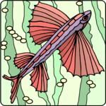 Flying Fish 1
