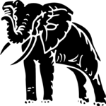 Elephant 9