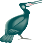 Cormorant 1
