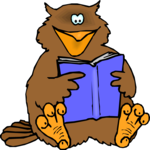 Owl Reading