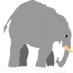 Elephant 01