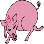 Pig 19