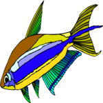 Emperor Tetra