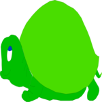 Turtle 02