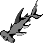 Shark - Hammerhead 3