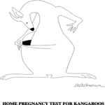 Kangaroo - Pregnancy Test