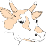 Cow 35