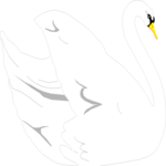 Swan 05