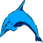 Dolphin 1