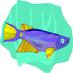 Killifish 20