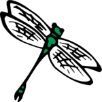 Dragonfly 01