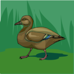 Duck 33