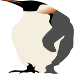 Penguin 01