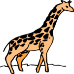 Giraffe 08