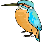 Kingfisher 04