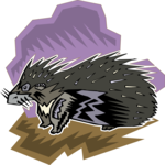 Porcupine 4