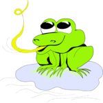 Frog 11