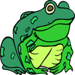 Frog 17