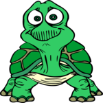 Turtle 23