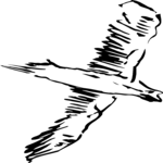 Bird Flying 19