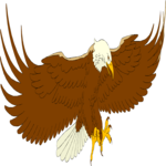 Eagle 43